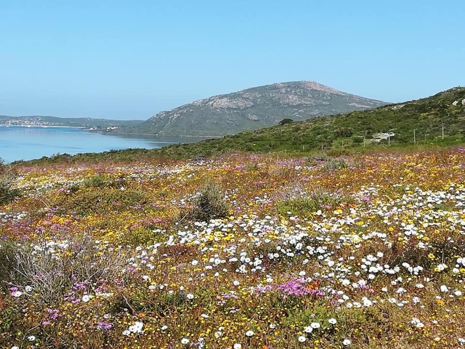 Perfect 10 - 10 To 13 Sleeper Luxury Holiday Home Breakage Deposit Of R2500 Per Weekend Lease Langebaan Exterior foto